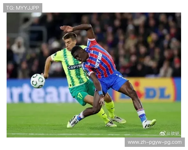 2018赛季水晶宫球员身价排行榜及转会前景分析